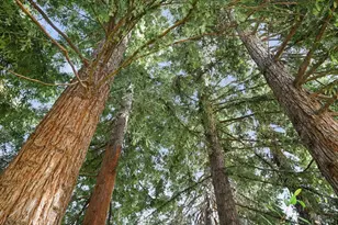 110 Calle Merlot, Sonoma, CA 95476 - Photo 57