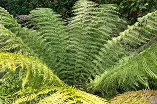 110 Calle Merlot, Sonoma, CA 95476 - Photo 55