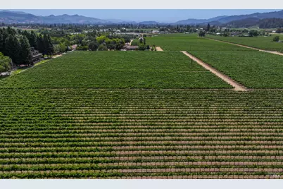 1388 Sulphur Springs Avenue, Saint Helena, CA 94574 - Photo 3