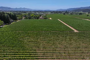 1388 Sulphur Springs Ave, Saint Helena, CA 94574 - Photo 3