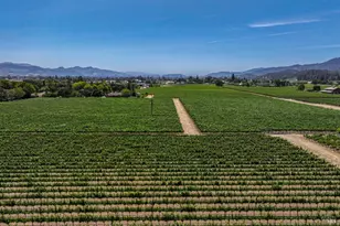 1388 Sulphur Springs Ave, Saint Helena, CA 94574 - Photo 29