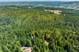 21900 Panorama Way, Philo, CA 95466 - Photo 49