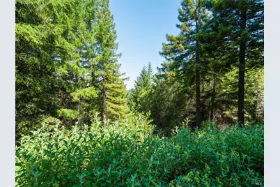 21900 Panorama Way, Philo, CA 95466 - Photo 41