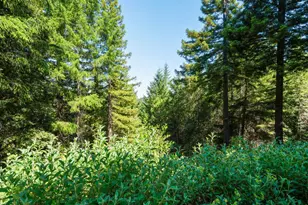 21900 Panorama Way, Philo, CA 95466 - Photo 41