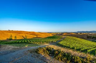 6513 Lakeville Hwy, Petaluma, CA 94954 - Photo 59