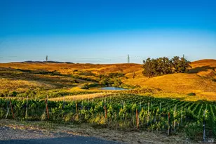 6513 Lakeville Hwy, Petaluma, CA 94954 - Photo 49