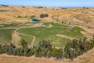 6513 Lakeville Hwy, Petaluma, CA 94954 - Photo 7