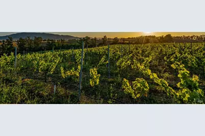 6513 Lakeville Highway, Petaluma, CA 94954 - Photo 65