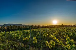 6513 Lakeville Hwy, Petaluma, CA 94954 - Photo 65