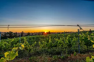 6513 Lakeville Hwy, Petaluma, CA 94954 - Photo 63