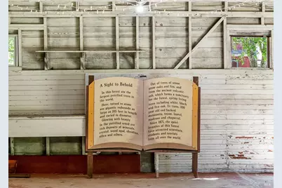 4100 Petrified Forest Road, Calistoga, CA 94515 - Photo 65