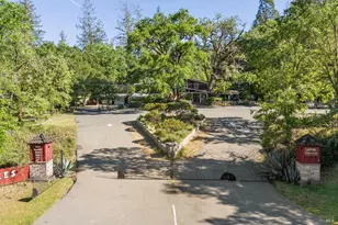 4100 Petrified Forest Rd, Calistoga, CA 94515 - Photo 3