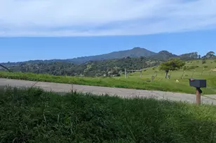 1163 Meadowsweet Dr, Corte Madera, CA 94925 - Photo 1