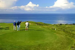 1011 Sea Eagle Loop, Bodega Bay, CA 94923 - Photo 55