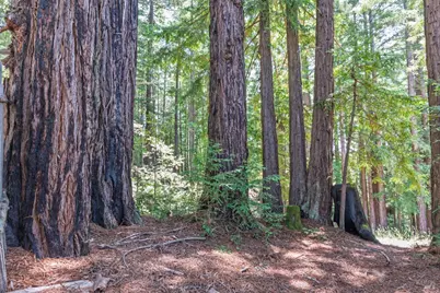 46321 Redwood Way, Gualala, CA 95445 - Photo 19