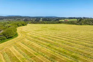 21601 S Hwy 1 Hwy, Point Arena, CA 95468 - Photo 69