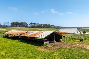 21601 S Hwy 1 Hwy, Point Arena, CA 95468 - Photo 49