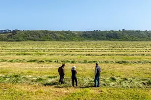 21601 S Hwy 1 Hwy, Point Arena, CA 95468 - Photo 63