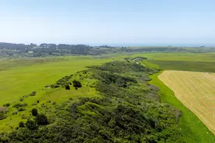 21601 S Hwy 1 Hwy, Point Arena, CA 95468 - Photo 67