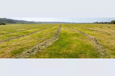 21601 S Highway 1 Highway, Point Arena, CA 95468 - Photo 71