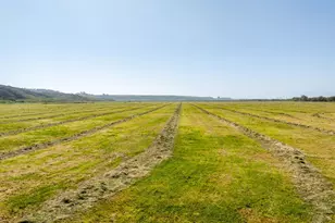 21601 S Hwy 1 Hwy, Point Arena, CA 95468 - Photo 71