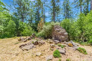 16880 Coleman Valley Rd, Occidental, CA 95465 - Photo 55