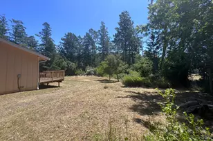 16880 Coleman Valley Rd, Occidental, CA 95465 - Photo 43