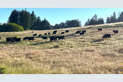 16880 Coleman Valley Road, Occidental, CA 95465 - Photo 59