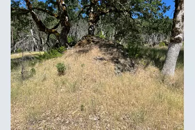 20925 Mid Mountain (17N17 Usfs) Road, Upper Lake, CA 95469 - Photo 11