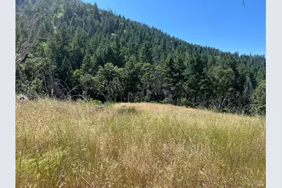 20925 Mid Mountain (17N17 Usfs) Road, Upper Lake, CA 95469 - Photo 7