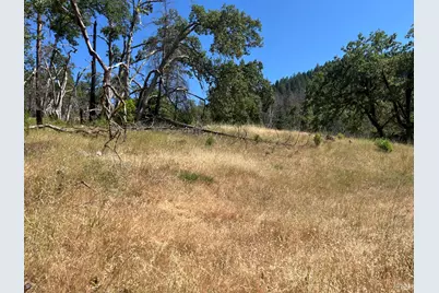 20925 Mid Mountain (17N17 Usfs) Road, Upper Lake, CA 95469 - Photo 3