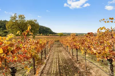 6750 River Road, Forestville, CA 95436 - Photo 15