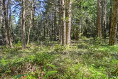 35205 Fly Cloud Road, The Sea Ranch, CA 95497 - Photo 3