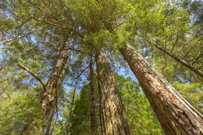 35205 Fly Cloud Road, The Sea Ranch, CA 95497 - Photo 1