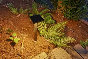 14150 Fern Rd, Guerneville, CA 95446 - Photo 65