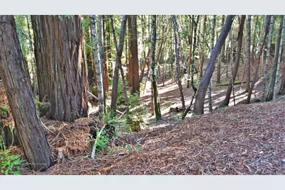 2421 Otter Lane, Willits, CA 95490 - Photo 3