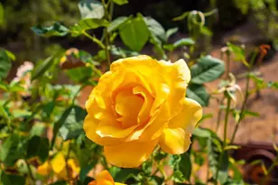 44150 Nash Mill Rd, Philo, CA 95466 - Photo 21