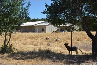 2186 Monticello Road, Napa, CA 94558 - Photo 45