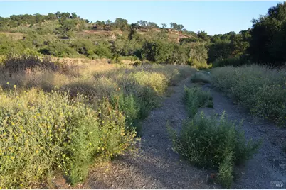 2186 Monticello Road, Napa, CA 94558 - Photo 31
