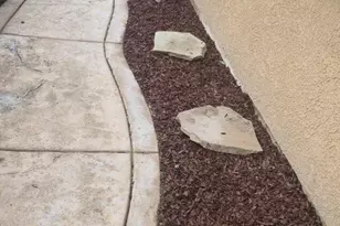 1256 Poplar Dr, Oakley, CA 94561 - Photo 57