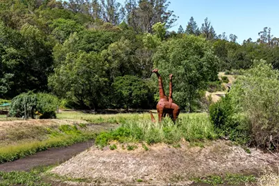 10200 Ca-12 Highway, Kenwood, CA 95452 - Photo 7