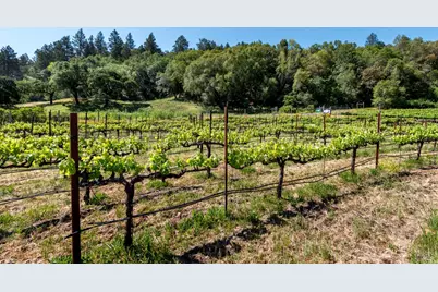 10200 Ca-12 Highway, Kenwood, CA 95452 - Photo 21