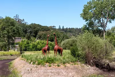 10200 Ca-12 Highway, Kenwood, CA 95452 - Photo 9