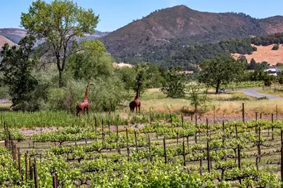 10200 Ca-12 Highway, Kenwood, CA 95452 - Photo 23