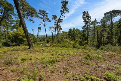 531 Via De La Vista, Inverness, CA 94937 - Photo 7