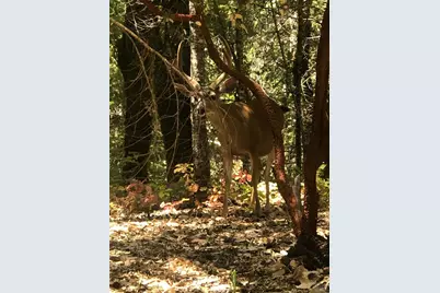 18040 Tomki Road, Willits, CA 95490 - Photo 17