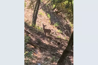 18040 Tomki Road, Willits, CA 95490 - Photo 15