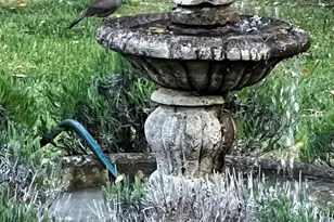 3556 Wood Valley Rd, Sonoma, CA 95476 - Photo 27