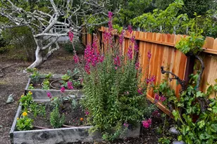 3556 Wood Valley Rd, Sonoma, CA 95476 - Photo 29