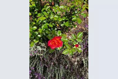 3556 Wood Valley Road, Sonoma, CA 95476 - Photo 49